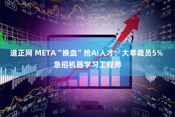 道正网 META“换血”抢AI人才：大举裁员5% 急招机器学习工程师