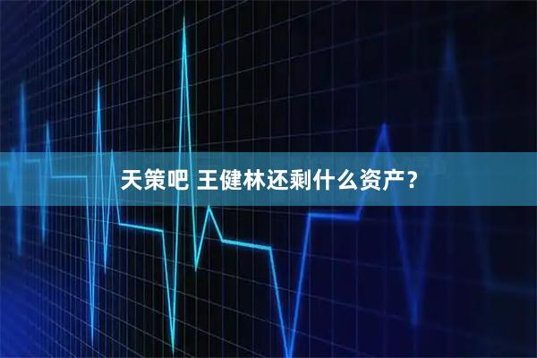 天策吧 王健林还剩什么资产？