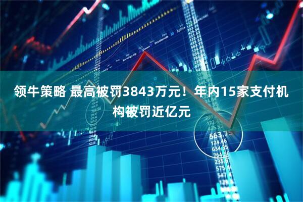 领牛策略 最高被罚3843万元！年内15家支付机构被罚近亿元