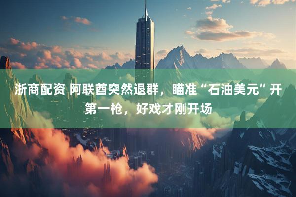浙商配资 阿联酋突然退群，瞄准“石油美元”开第一枪，好戏才刚开场